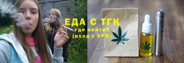 мдпв Ельня