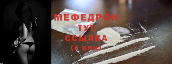 мдпв Ельня