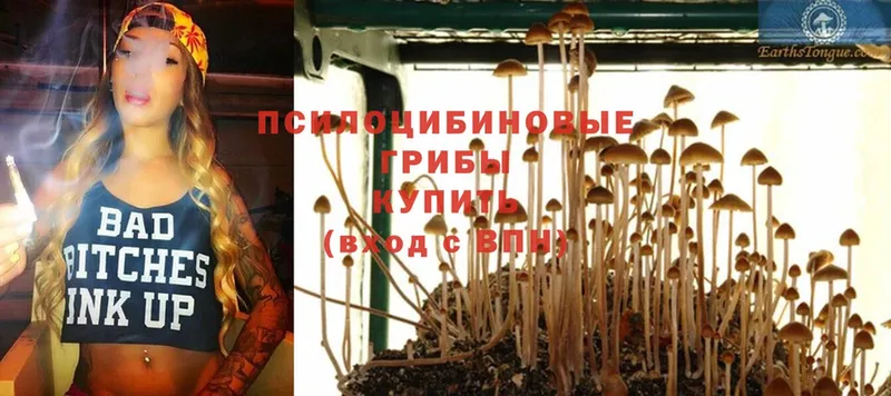 Галлюциногенные грибы MAGIC MUSHROOMS  hydra вход  Кола  магазин   